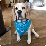 Dog Bandana